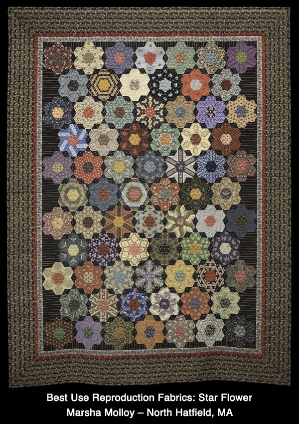 Marsha Molloy, "Star Flowers"