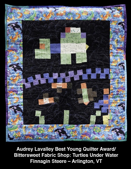 Finnagin Steere, "Turtles Under Water"